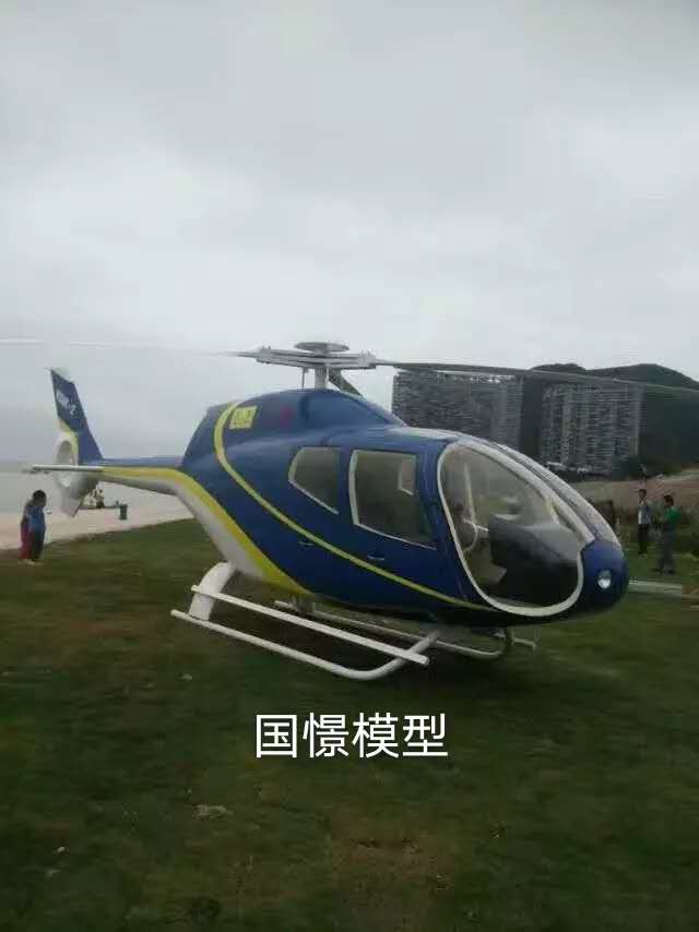民丰县飞机模型