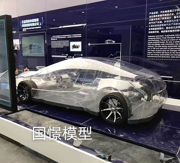 民丰县透明车模型